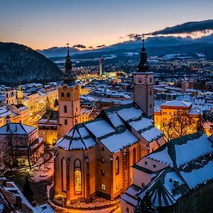 Komfortny Apartman So Zahradou A Sukromnym Parkoviskom-Nonstop Check-In Lägenhet Banská Bystrica Exterior photo