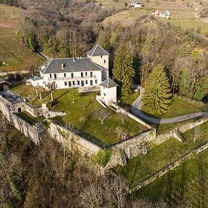 Chateau D'Apremont Bed and Breakfast Apremont  Exterior photo