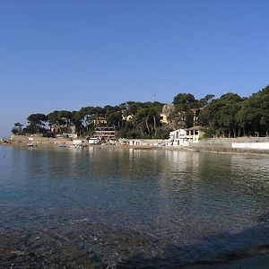 Villa Violetta Castiglioncello Exterior photo