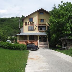 Pensiunea Bradu Hotell Piatra Neamţ Exterior photo