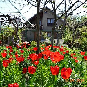 Milorava'S Guest House & Wine Cellar Telavi Exterior photo