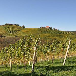 Weingut Koegl Bed and Breakfast Ratsch an der Weinstraße Exterior photo