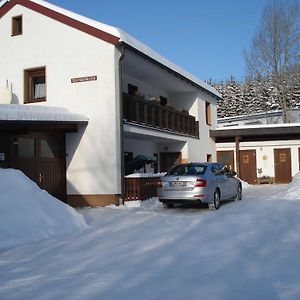 Haus Steinwaldblick Lägenhet Bernlohe  Exterior photo