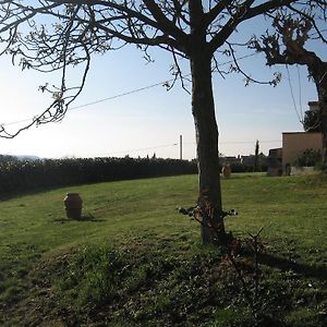 Agriturismo Le Caselle Pensionat Cerbaia Room photo