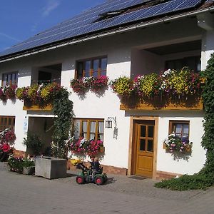 Ferienhof Ring Villa Schönthal Exterior photo