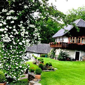 Cottage am Waldrand gelegen Feldkirchen in Kärnten Exterior photo