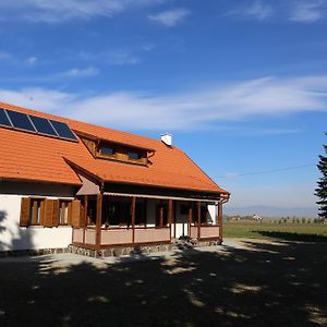 Ezuestfenyo Agroturisztikai Panzio Hotell Borzont Exterior photo