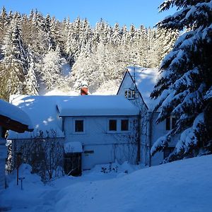 Ferienwohnung Bauer Alter Hammer Schmiedefeld am Rennsteig Exterior photo