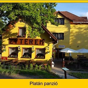 Platan Panzio Hotell Dobogoko Exterior photo