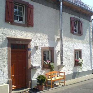 Relaxen am Nationalpark Eifel Villa Ahrhutte Exterior photo