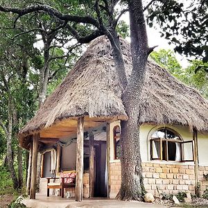 House In The Wild Pensionat Maasai Mara Exterior photo