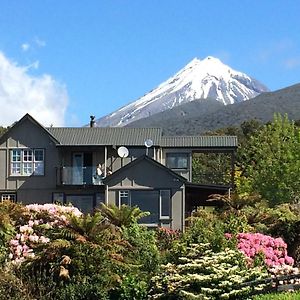 Georges Bnb Nature And Lifestyle Retreat Lägenhet New Plymouth Exterior photo