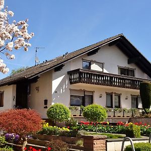 Gaestehaus Braun Lägenhet Bad König Exterior photo