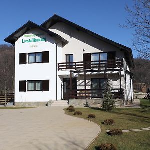 Pensiunea Livada Bunicului Hotell Stanesti  Exterior photo