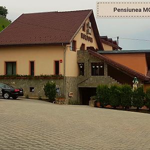 Pensiunea Moldova Hotell Piatra Neamţ Exterior photo