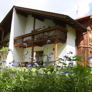 Ferienhaeuser "In Der Waldperle" Villa Bischofsmais Exterior photo