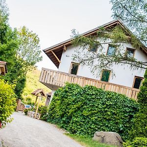 Oeko-Park Panzio, Kemping Es Rendezvenykoezpont Hotell Szarvaskő Exterior photo