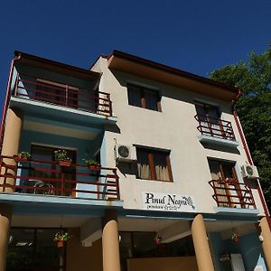 Pensiunea Pinul Negru Hotell Băile Herculane Exterior photo