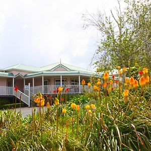 Matakohe House Bed and Breakfast Exterior photo