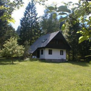 Apartmaji In Sobe Bohinjsko Jezero Hotell Ukanc Exterior photo