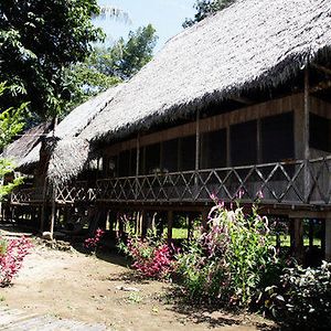 Jungle Wolf Expeditions Hotell Nauta Exterior photo