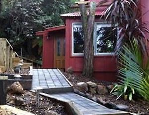 The Coromandel Treehouse Hotell Exterior photo