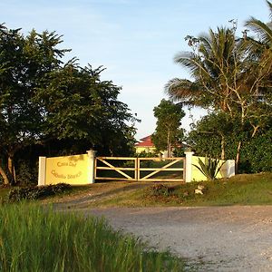 Casa Del Caballo Blanco Hotell San Ignacio Exterior photo