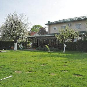 Klet Cinkus Bed and Breakfast Hrvatski Leskovac Exterior photo