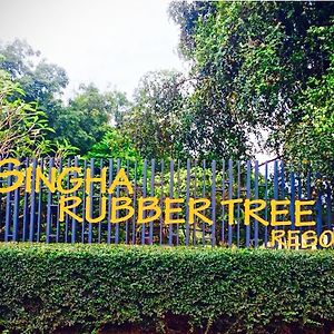 Singha Rubber Tree Hotell Ban Huai Maenam Noi Exterior photo