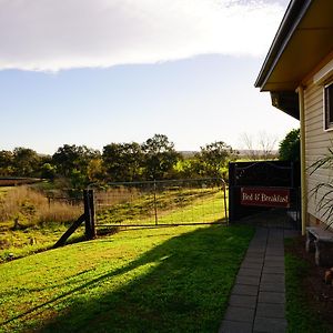 Muswellbrook Northside Bed & Breakfast Bed and Breakfast Exterior photo