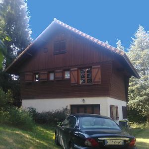 Chalet Les Sequoias Bed and Breakfast Saint-Rémy-sur-Durolle Exterior photo