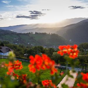 Bran Monte Crai Chalet Hotell Exterior photo