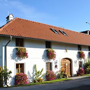 Vitalhof Roithinger Lägenhet Grieskirchen Exterior photo