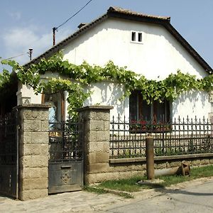 Pataky Borporta Bed and Breakfast Tarcal Exterior photo