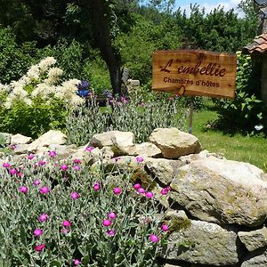 L'Embellie Bed and Breakfast Bertignat Exterior photo