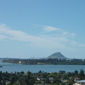 Up In The Stars B&B Tauranga Exterior photo