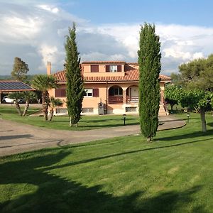 Bed & Breakfast La Volpe E L'Uva Bed and Breakfast Santa Marinella Exterior photo