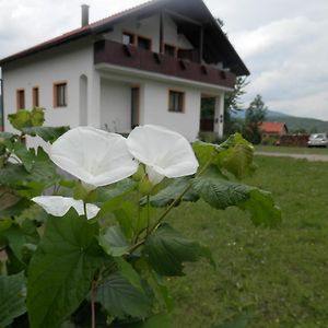 Guesthouse Matija Irinovac Exterior photo