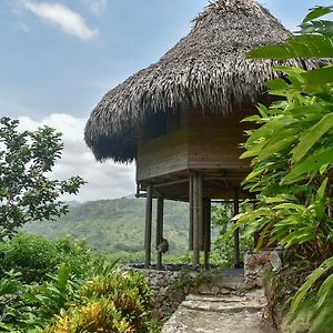 Ecohabs Bosques Del Tayrona Hotell Calabazo  Exterior photo