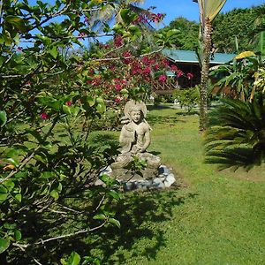 J And H Garden Cabinas Lägenhet Bocas del Toro Exterior photo