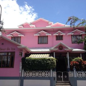 Fleur De Lys Hotell San José Exterior photo