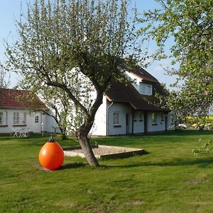 Pension Schwalbenhof Hotell Klausdorf  Exterior photo