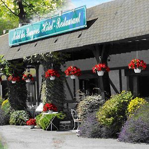 Motel Des Bruyeres Lamotte-Beuvron Exterior photo