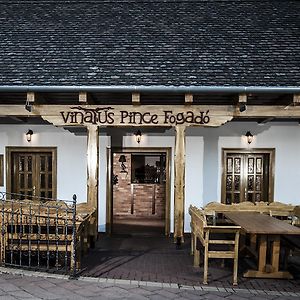 Vinatus Pince Hotell Villány Exterior photo