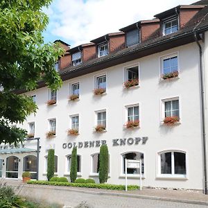 Hotel Goldener Knopf Bad Säckingen Exterior photo