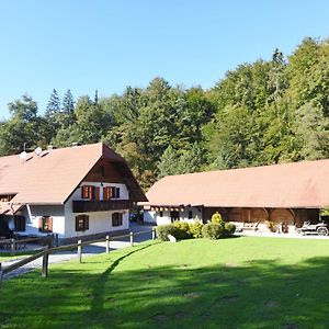 Domacija Seruga Villa Novo Mesto Exterior photo