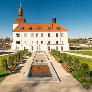 Chateau Clara Futura Hotell Dolni Brezany Exterior photo