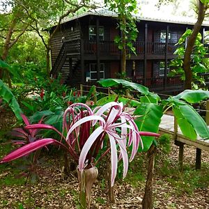 Upachaya Eco-Lodge & Wellness Resort Mud Hole Exterior photo