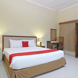 Reddoorz Near Candi Pawon Borobudur Hotell Magelang Exterior photo