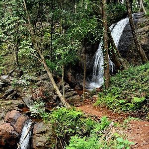 Karadikallu Homestay - Private Waterfalls&Guided Trek Sakleshpur Exterior photo